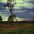 Ode to the Countryside