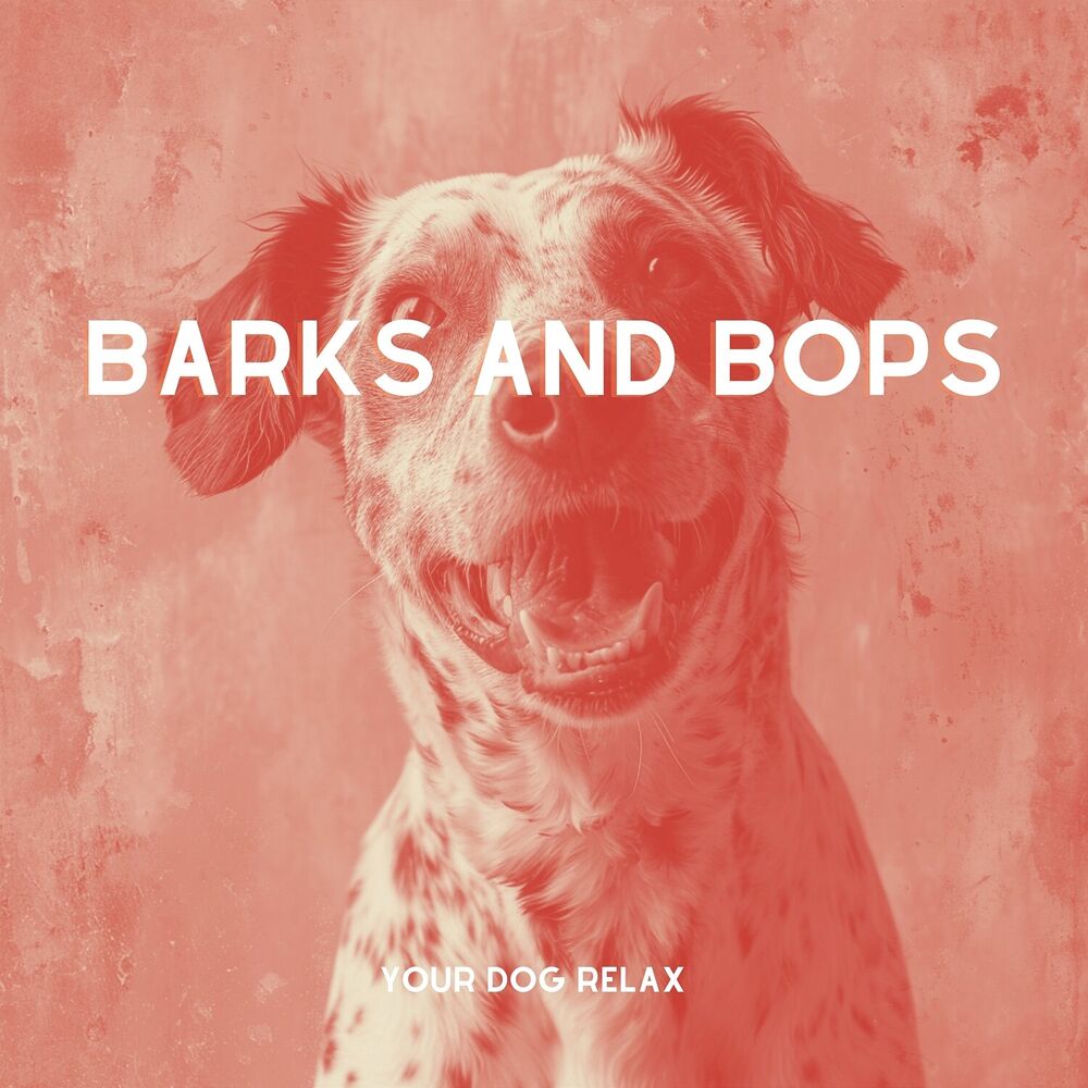 Picture of Barks and Bops: Forest Echoes for Energetic Tails