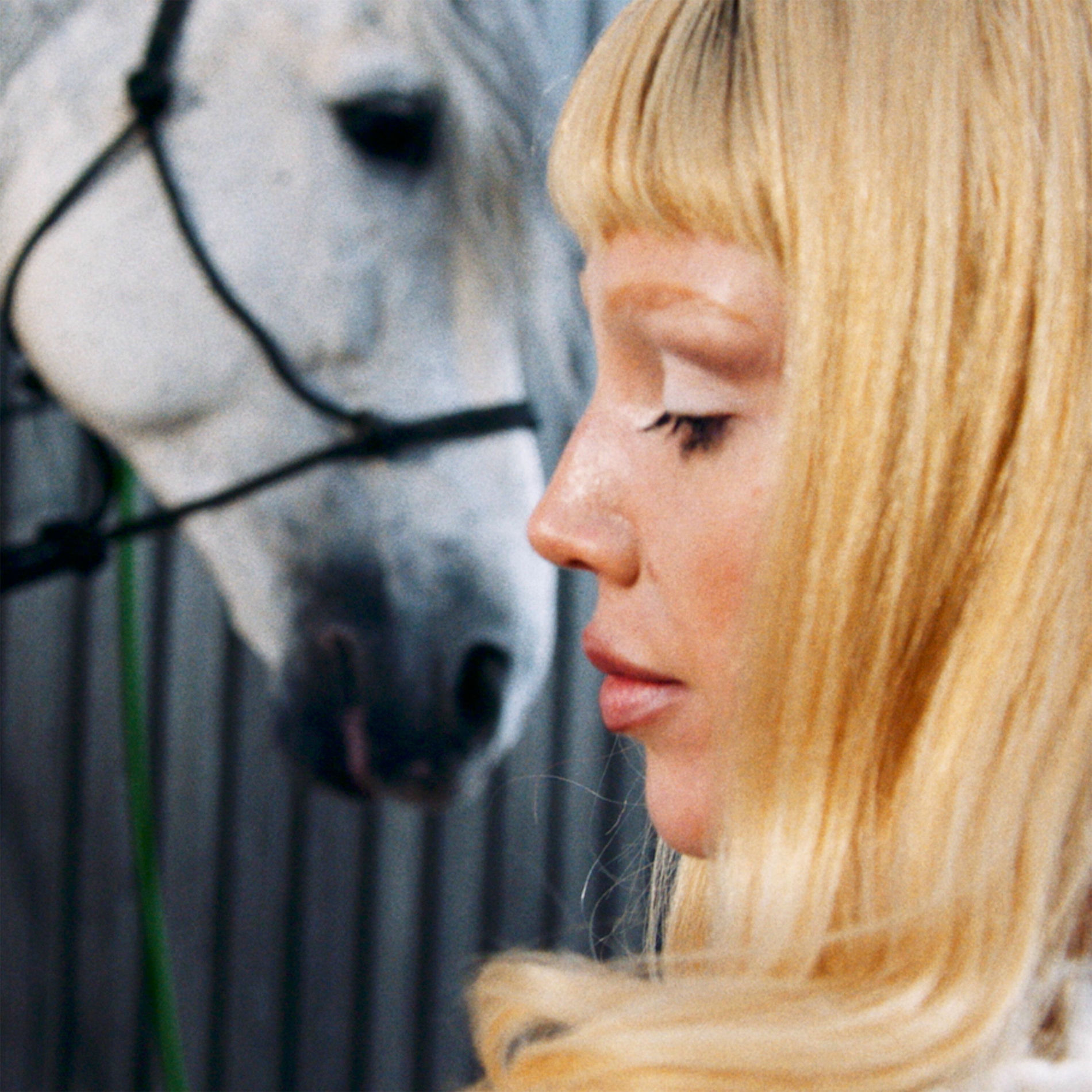 Album cover of Love Lasso