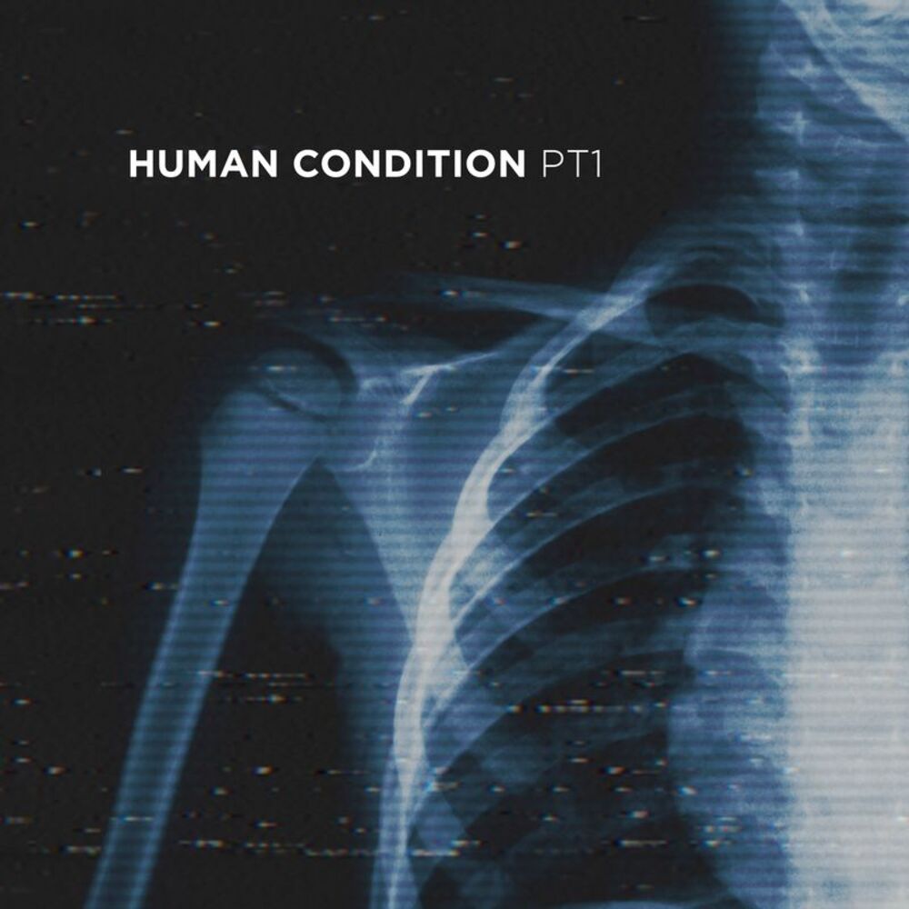 Picture of Human Condition - Pt. 1