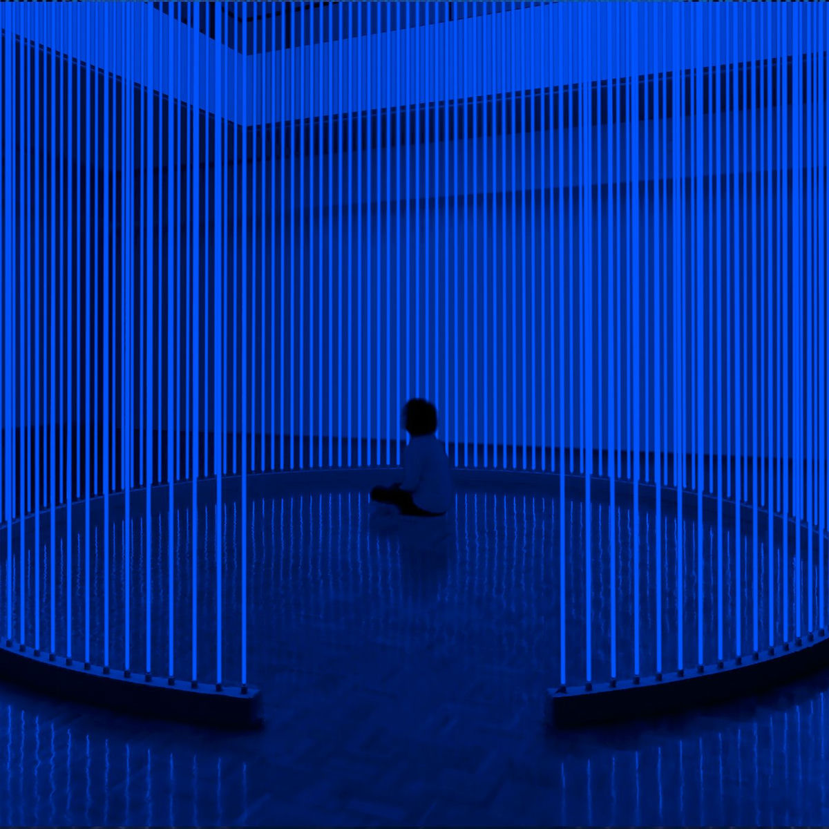 Album cover of S/H
