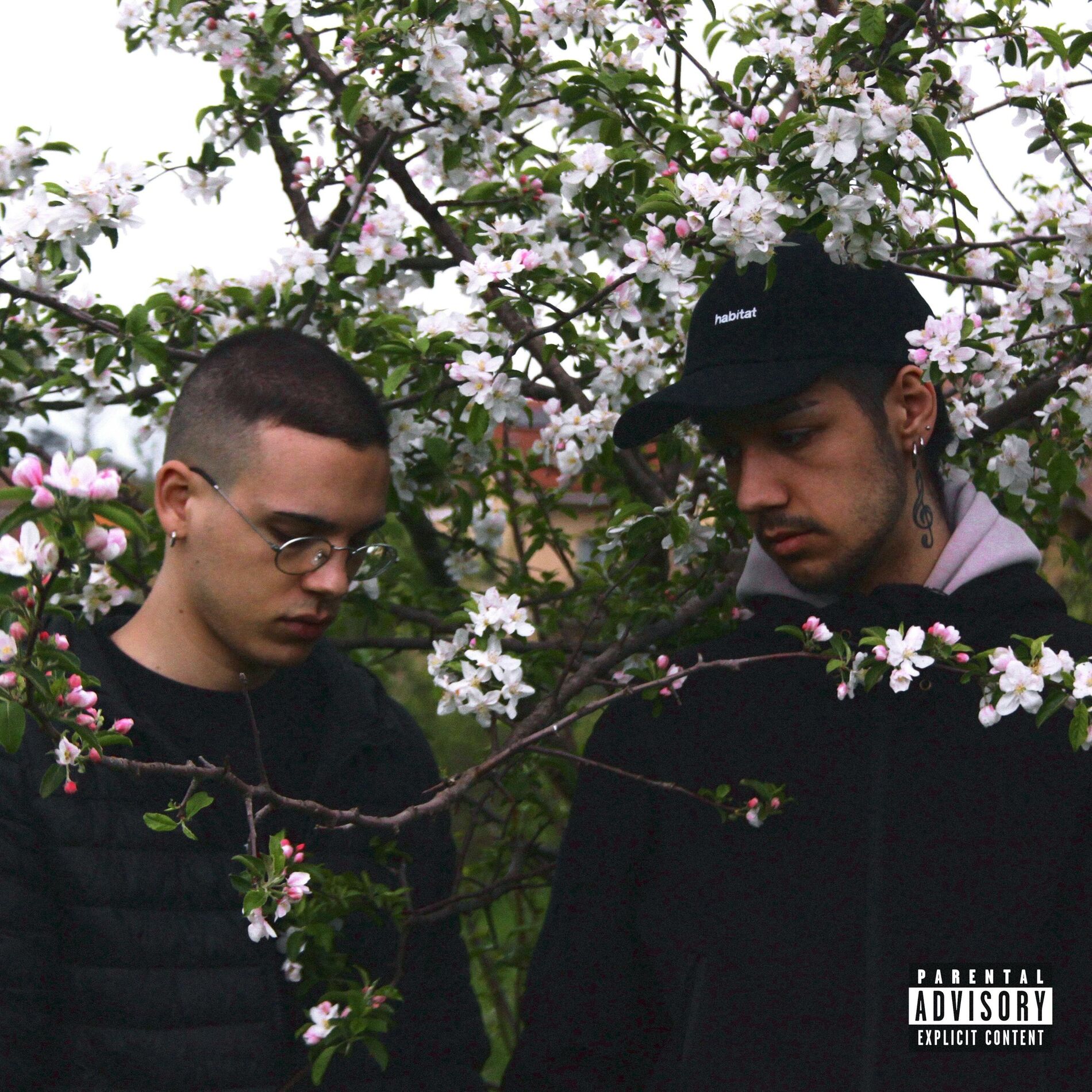 Album cover of TENTATIVI
