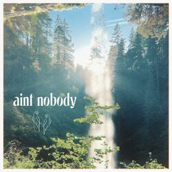Cover of Ain't Nobody