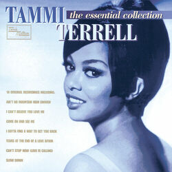Cover of The Essential Collection