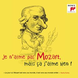 Cover of Je n'aime pas Mozart, mais ça j'aime bien !