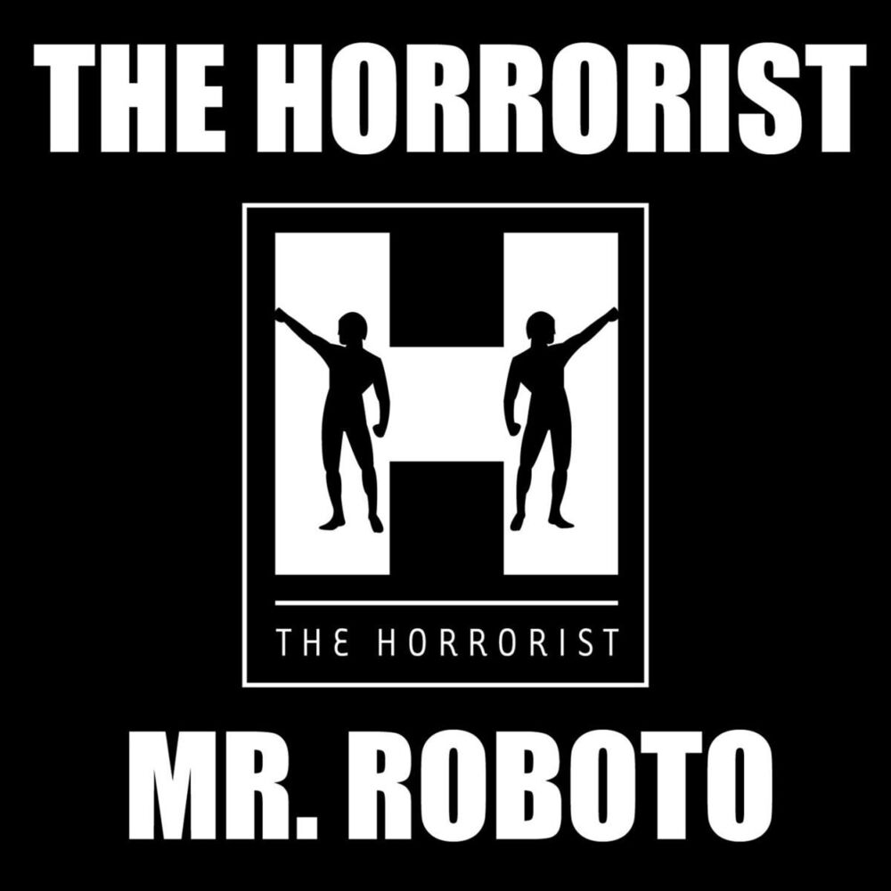 Picture of Mr. Roboto