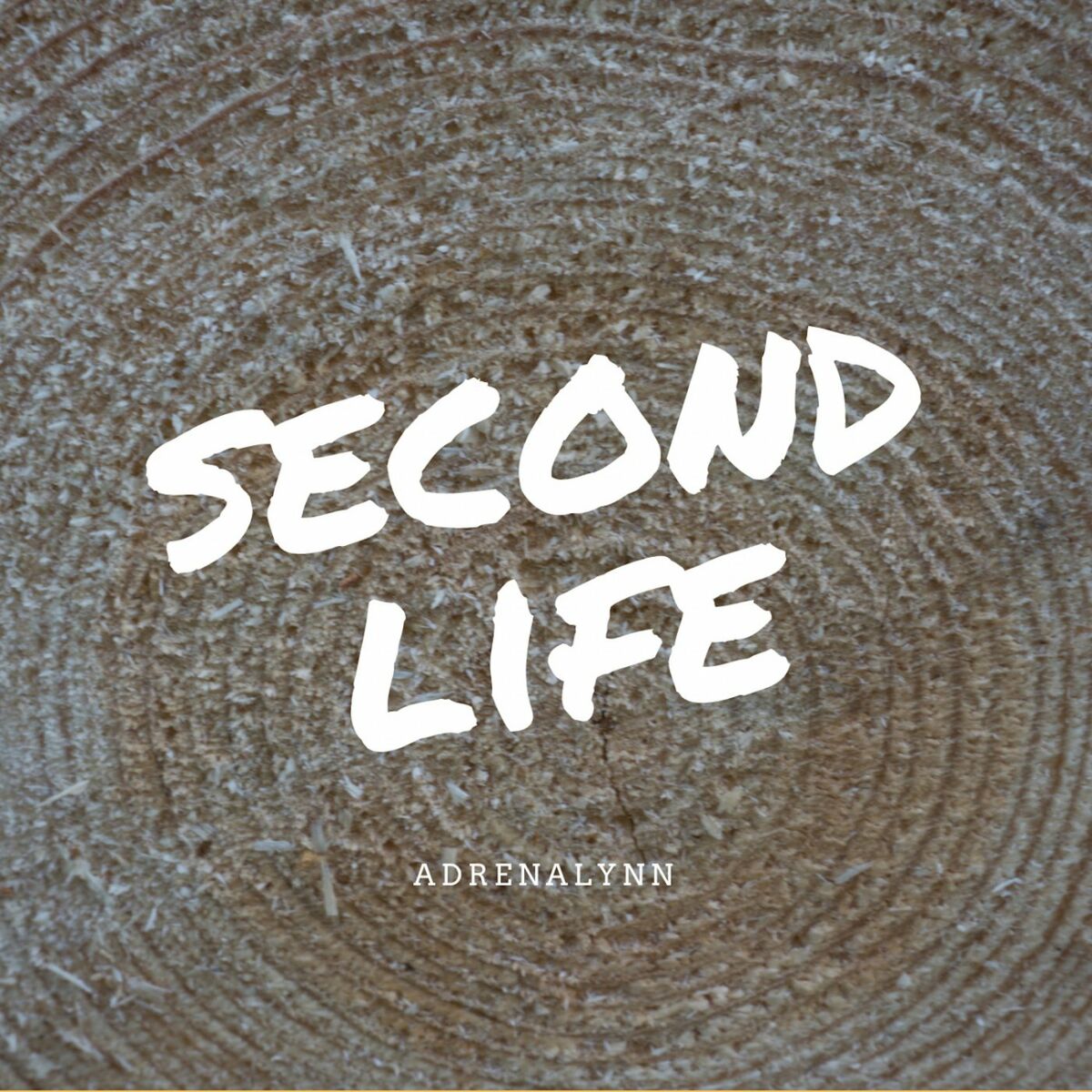 Album picture of Second Life