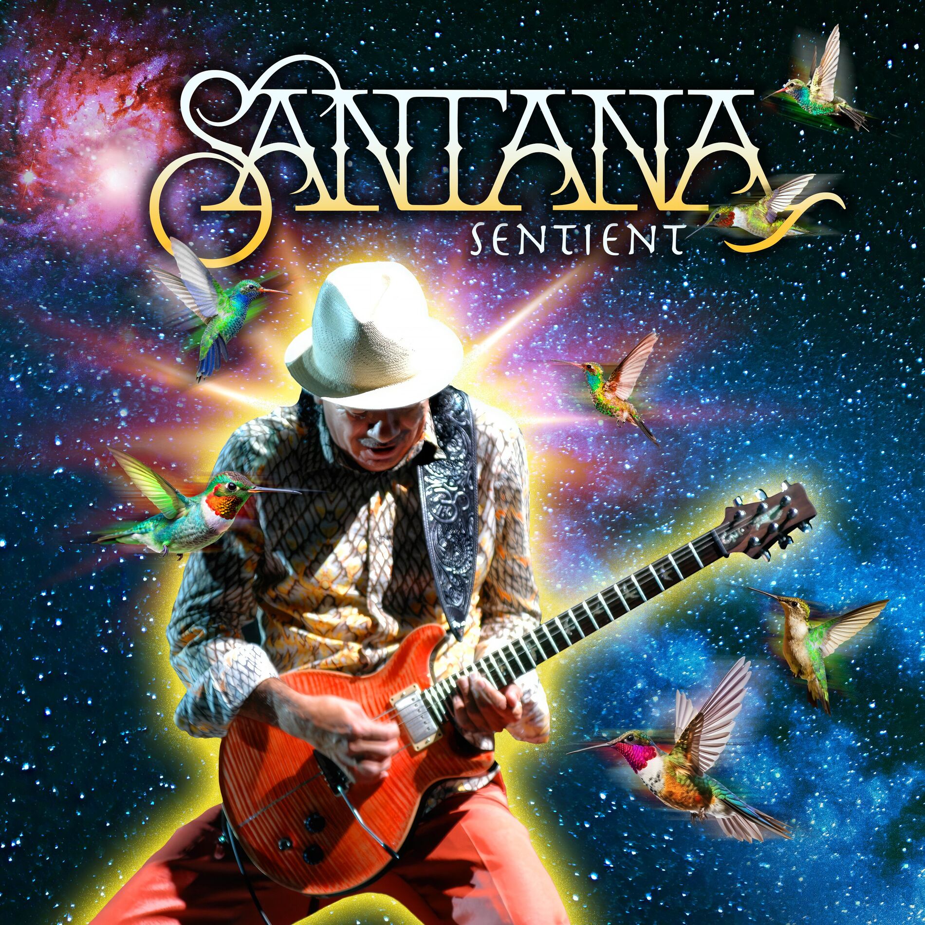Album cover of Sentient