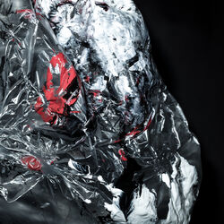 Cover of Oblic / Serpenti Remixes