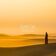 Desert Soul