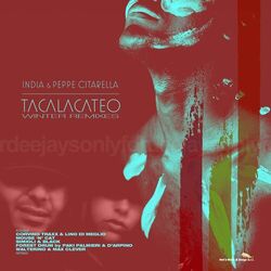 Cover of Tacalacateo (Winter Remixes)