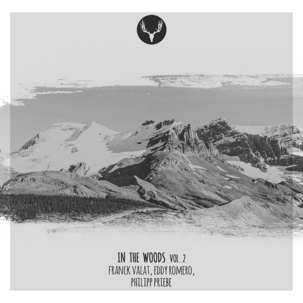 Picture of In The Woods Vol. 2