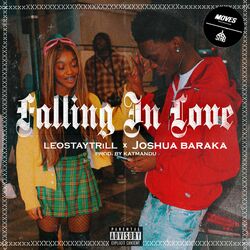 Cover of Falling In Love