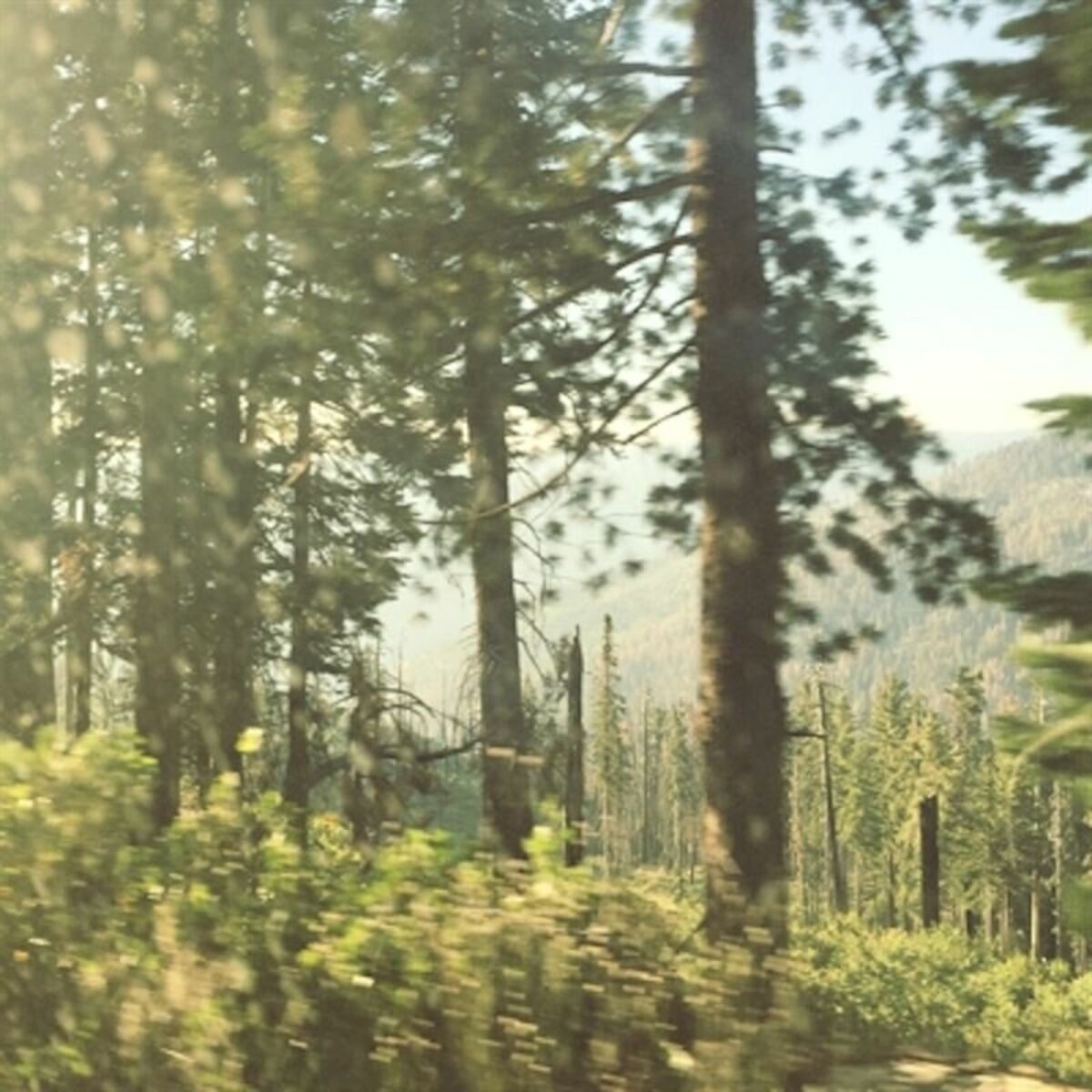 Album cover of Yellow