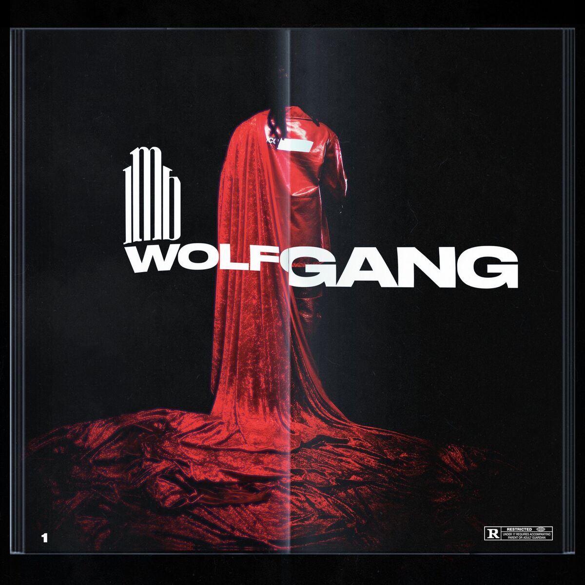 Album cover of WOLFGANG