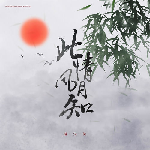 此情风月知 (DJ天天版)