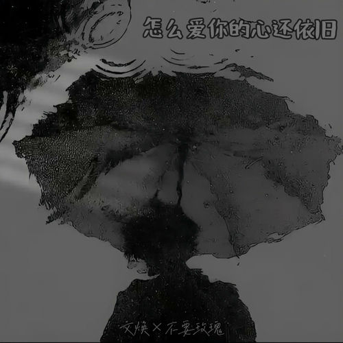 怎么爱你的心还依旧
