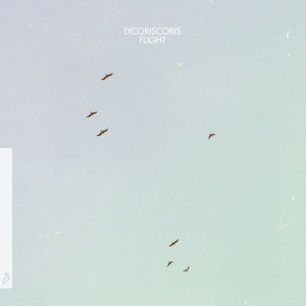 Picture of Flight