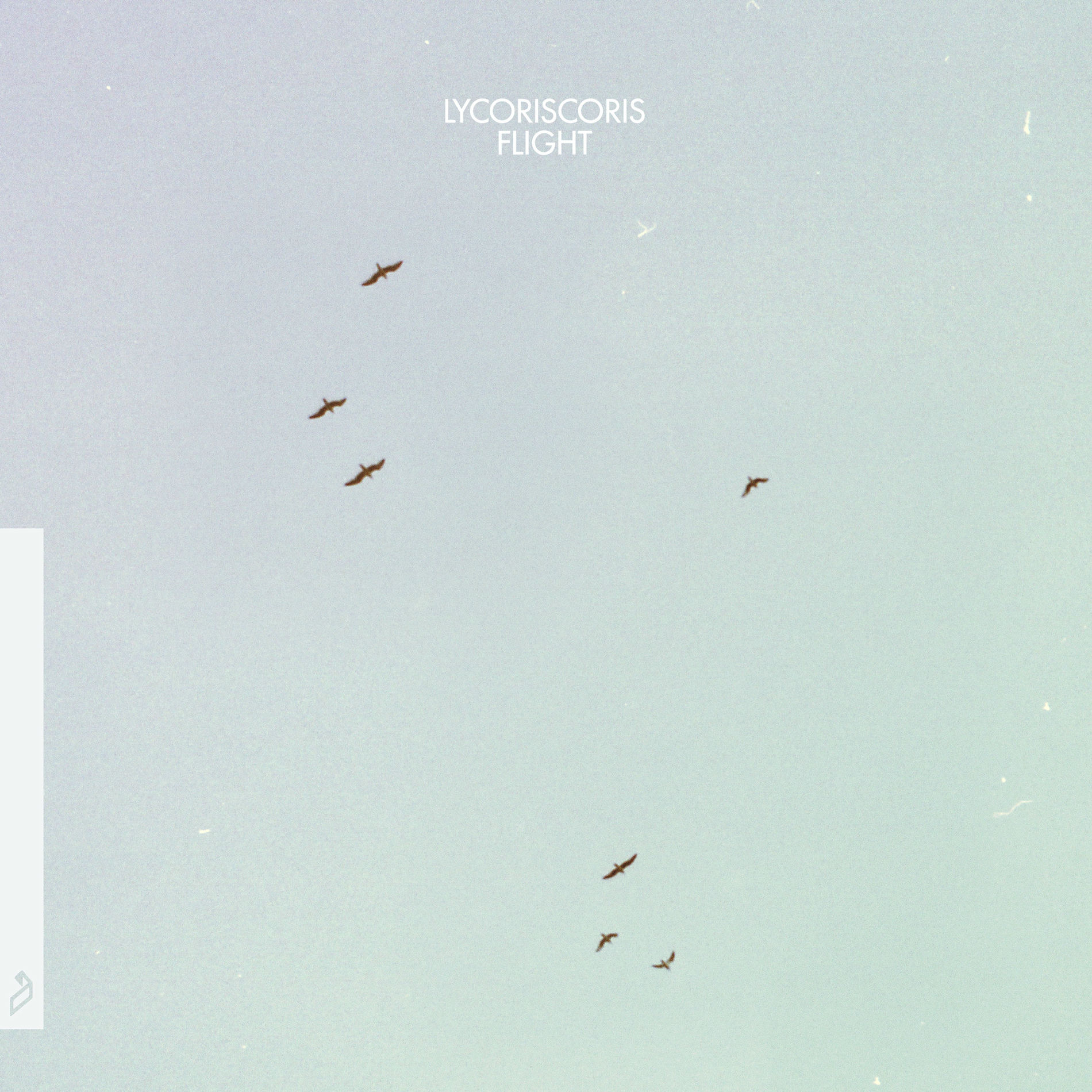 Album cover of Flight