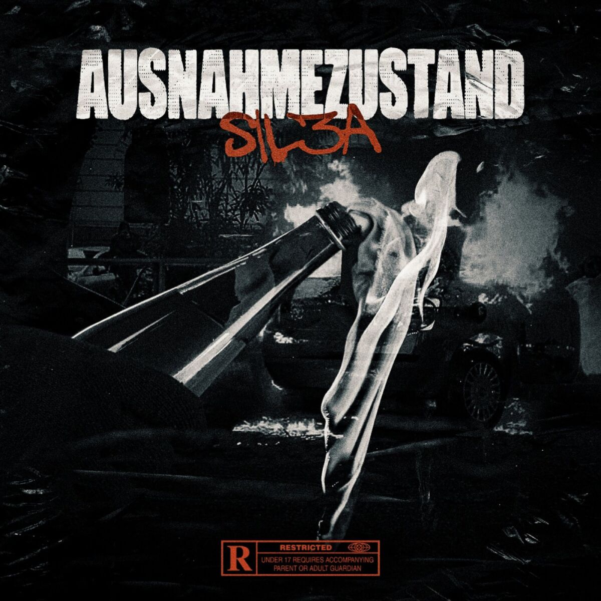 Album cover of Ausnahmezustand