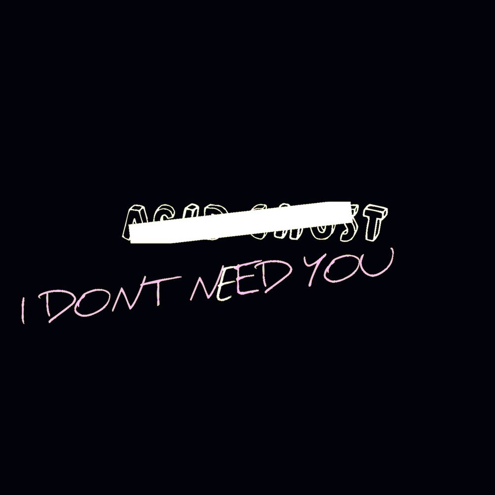 Picture of I Don't Need You
