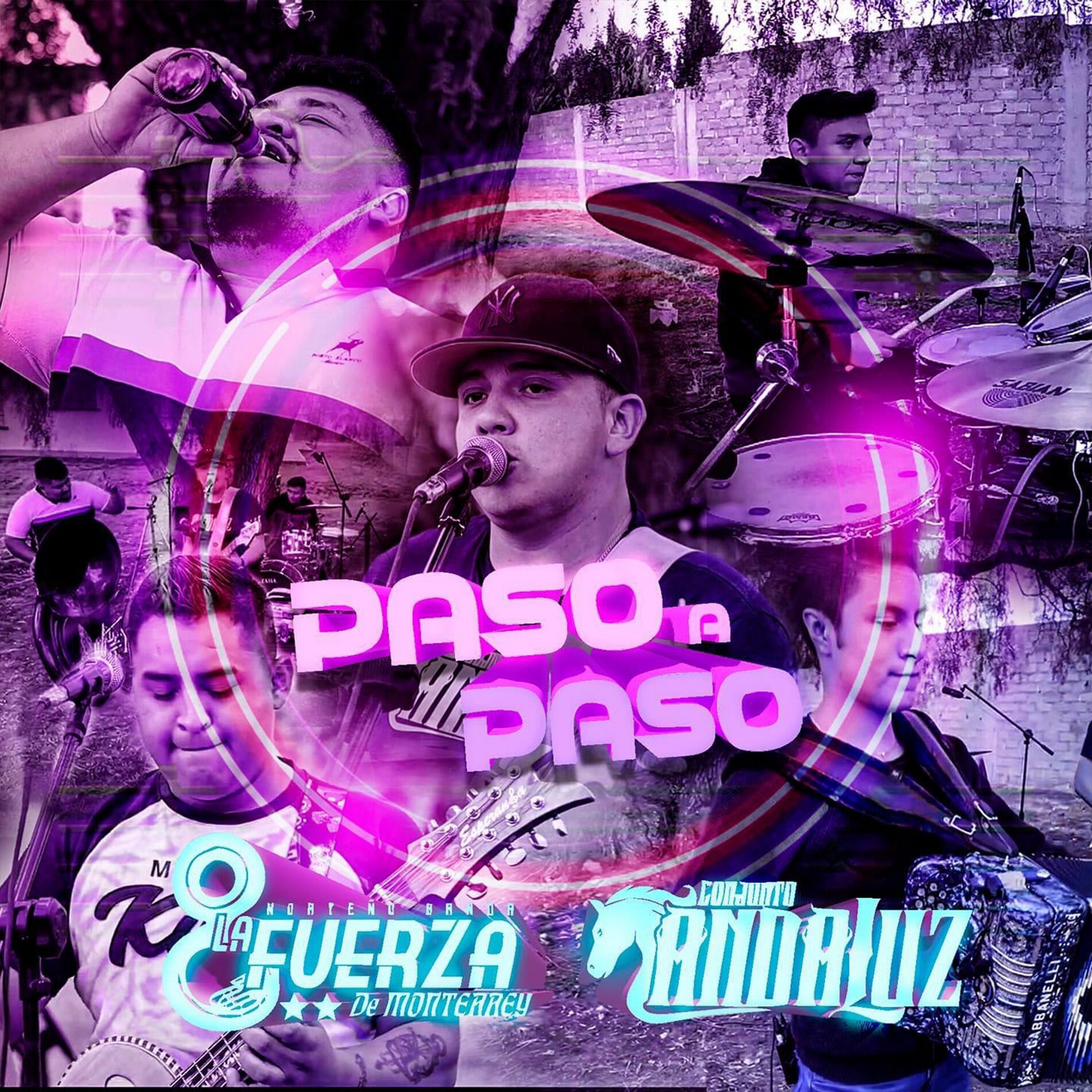 Album cover of Paso A Paso (En Vivo)