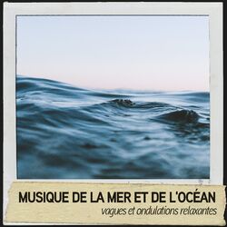 Cover of Musique de la mer et de l'océan : vagues et ondulations relaxantes