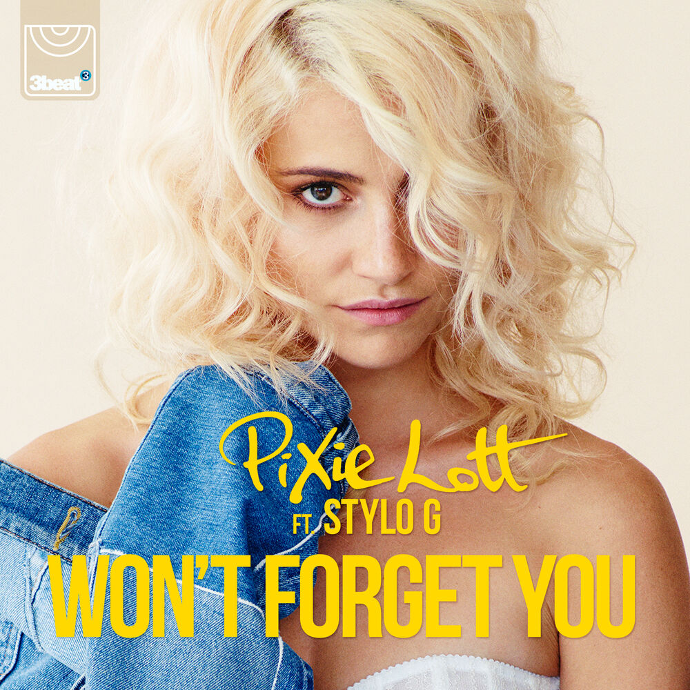 Picture of Won't Forget You