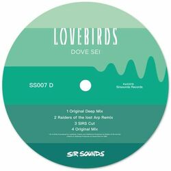 Cover of Dove Sei