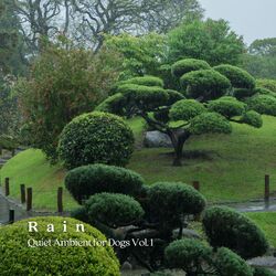 Cover of Rain: Quiet Ambient for Dogs Vol. 1