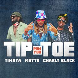 Cover of Tip Pon Yuh Toe