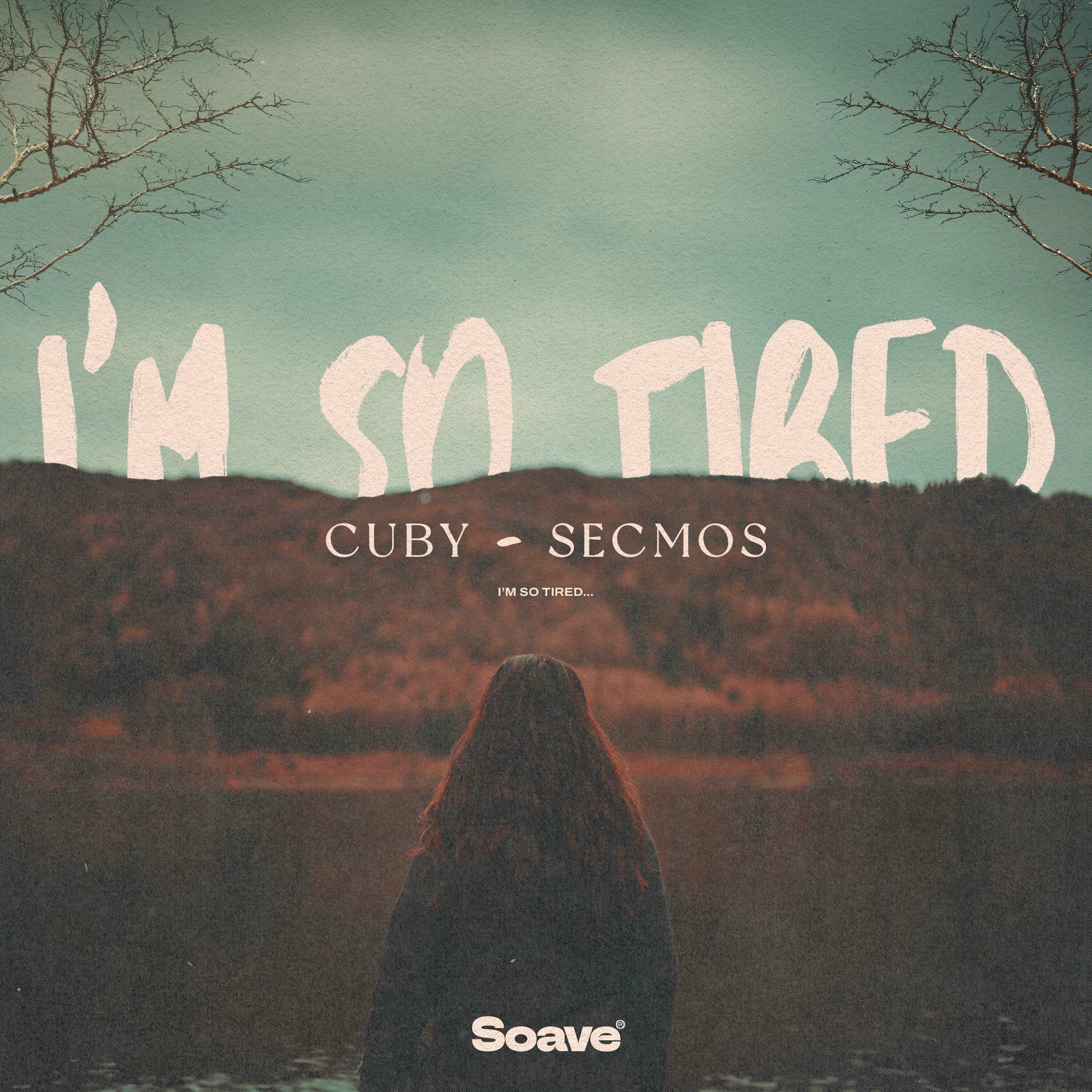 Album cover of i'm so tired...