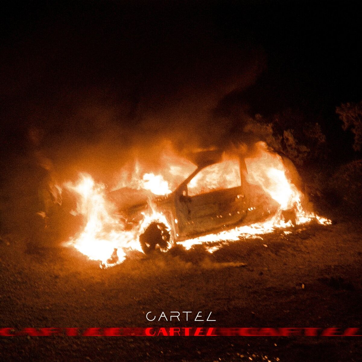 Album cover of Cartel