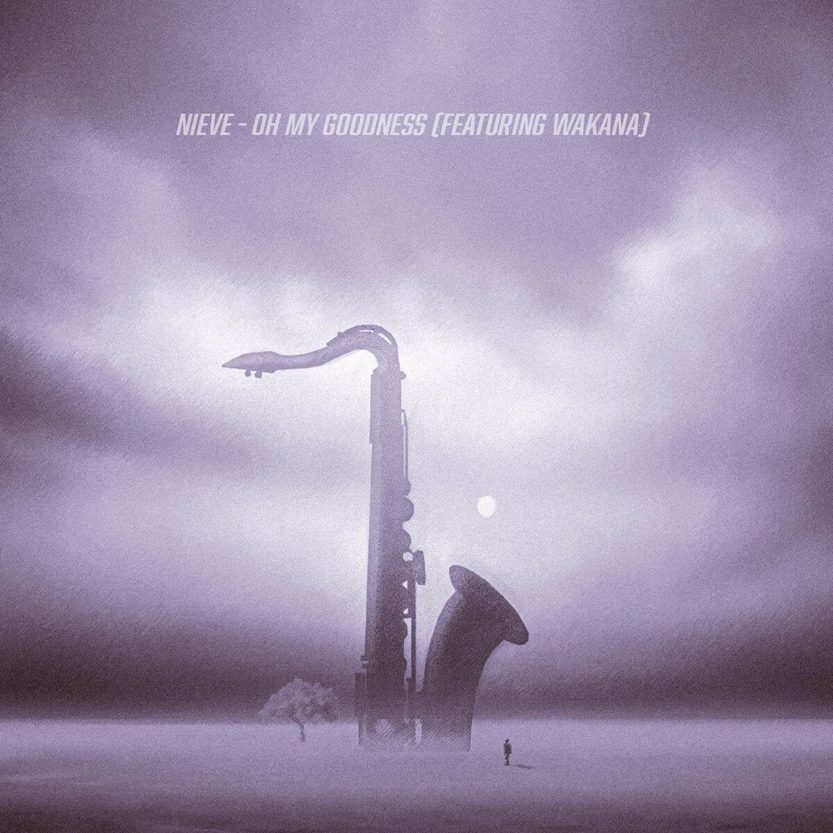 Album cover of Oh My Goodness