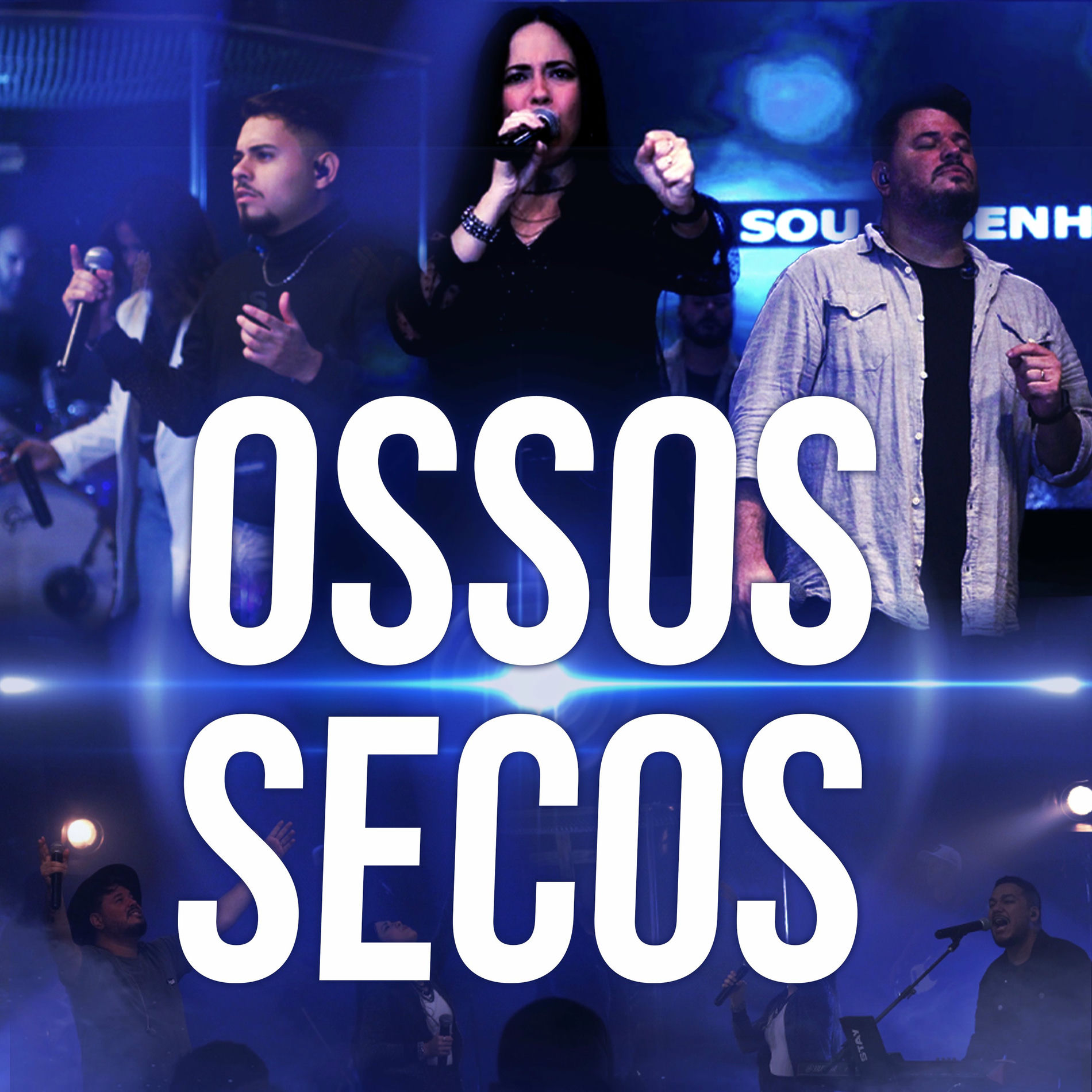 Album cover of Ossos Secos