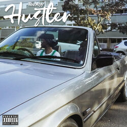 Cover of Hustler