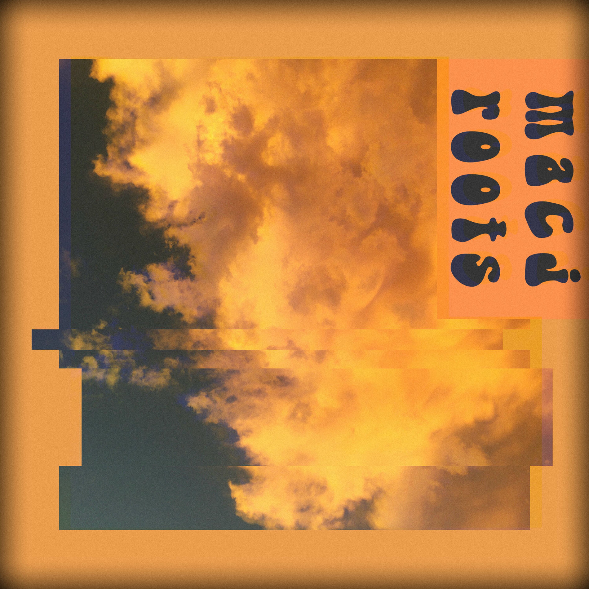 Album cover of roots