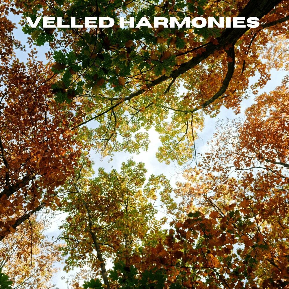 Picture of Veiled Harmonies