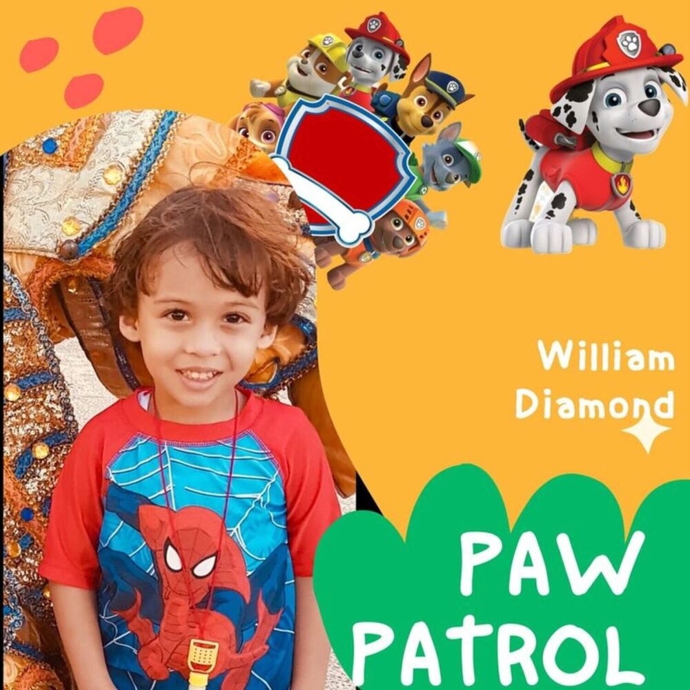 Picture of Paw Patrol