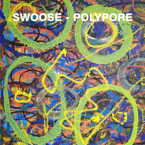 Polypore