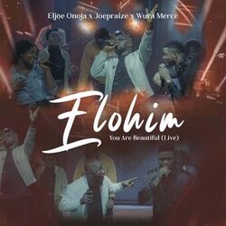 Cover of Elohim You Are Beautiful (Live)