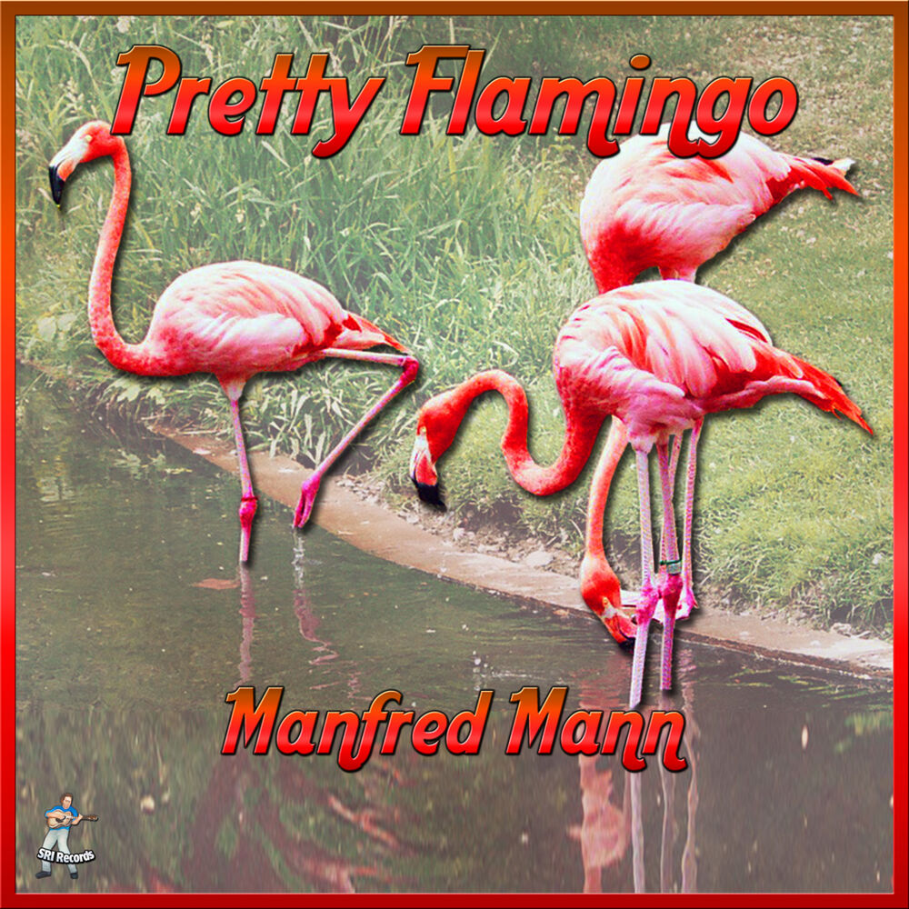 Picture of Pretty Flamingos