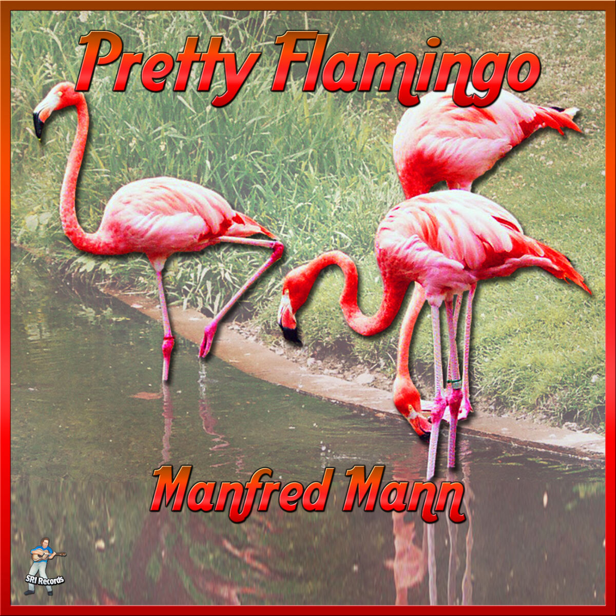Album cover of Pretty Flamingos