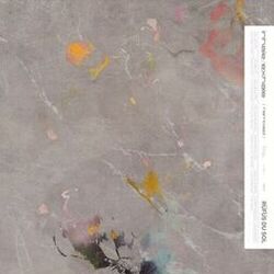 Cover of In the Moment (Adriatique Remix)
