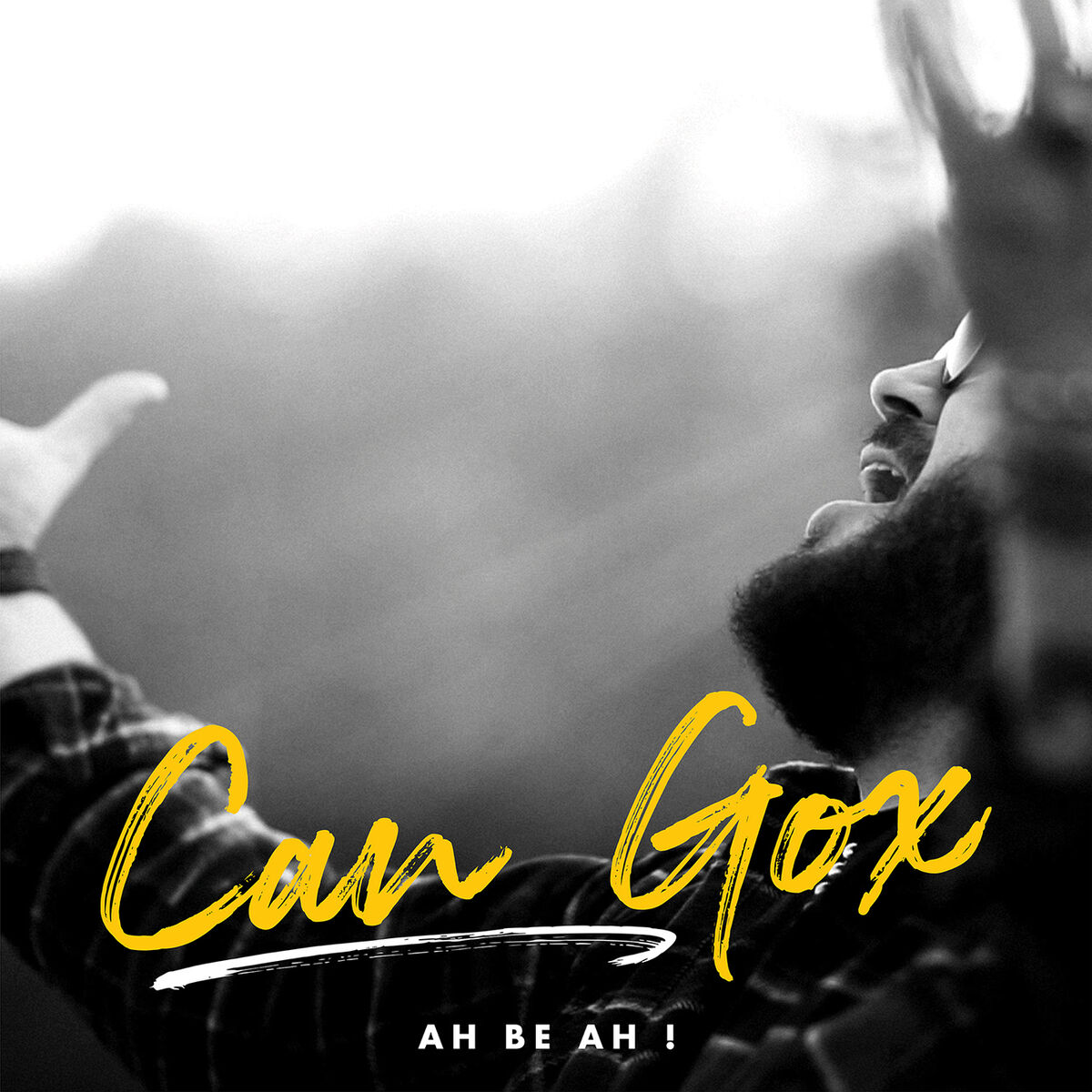 Album cover of Ah Be Ah