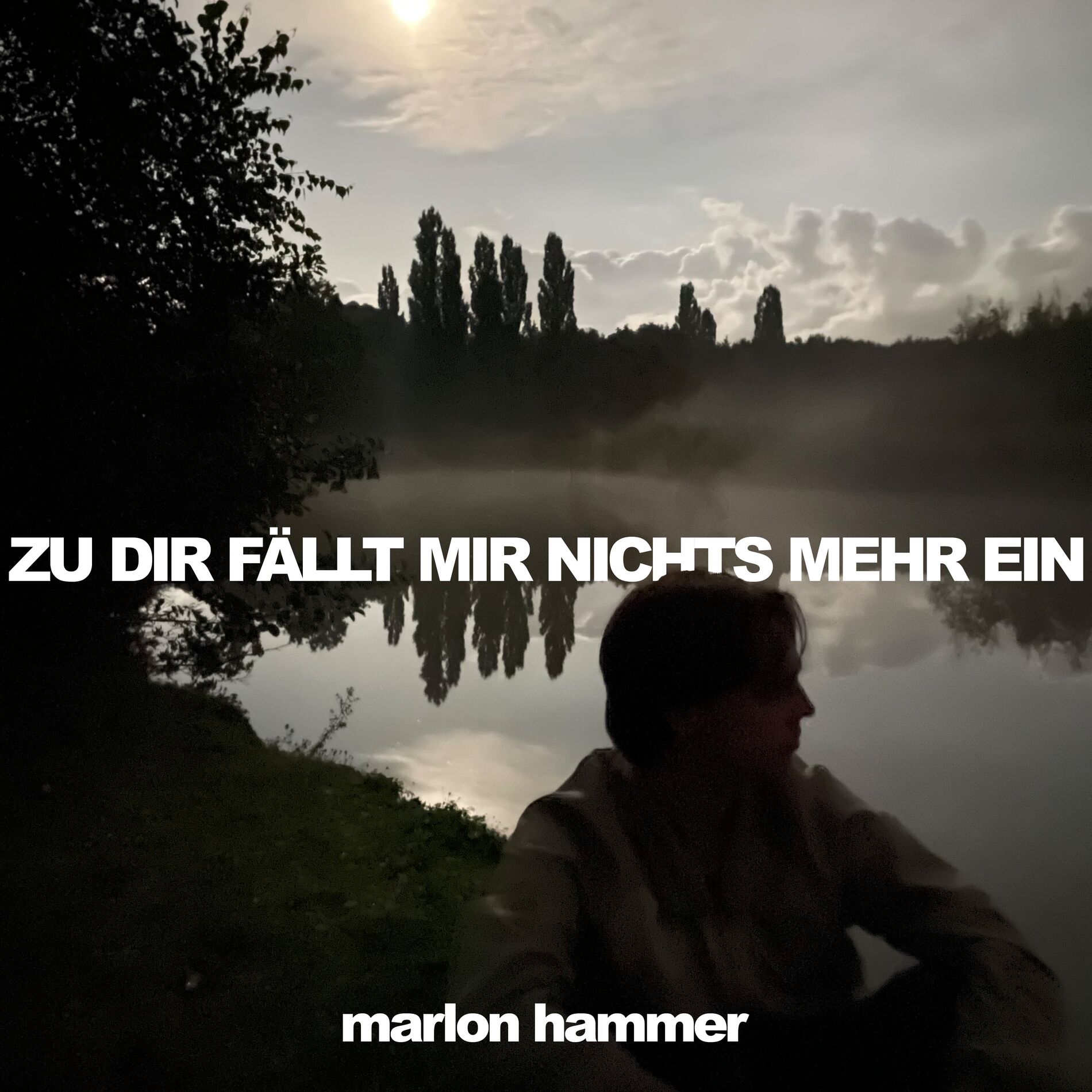 Album cover of Zu Dir Fällt Mir Nichts Mehr Ein