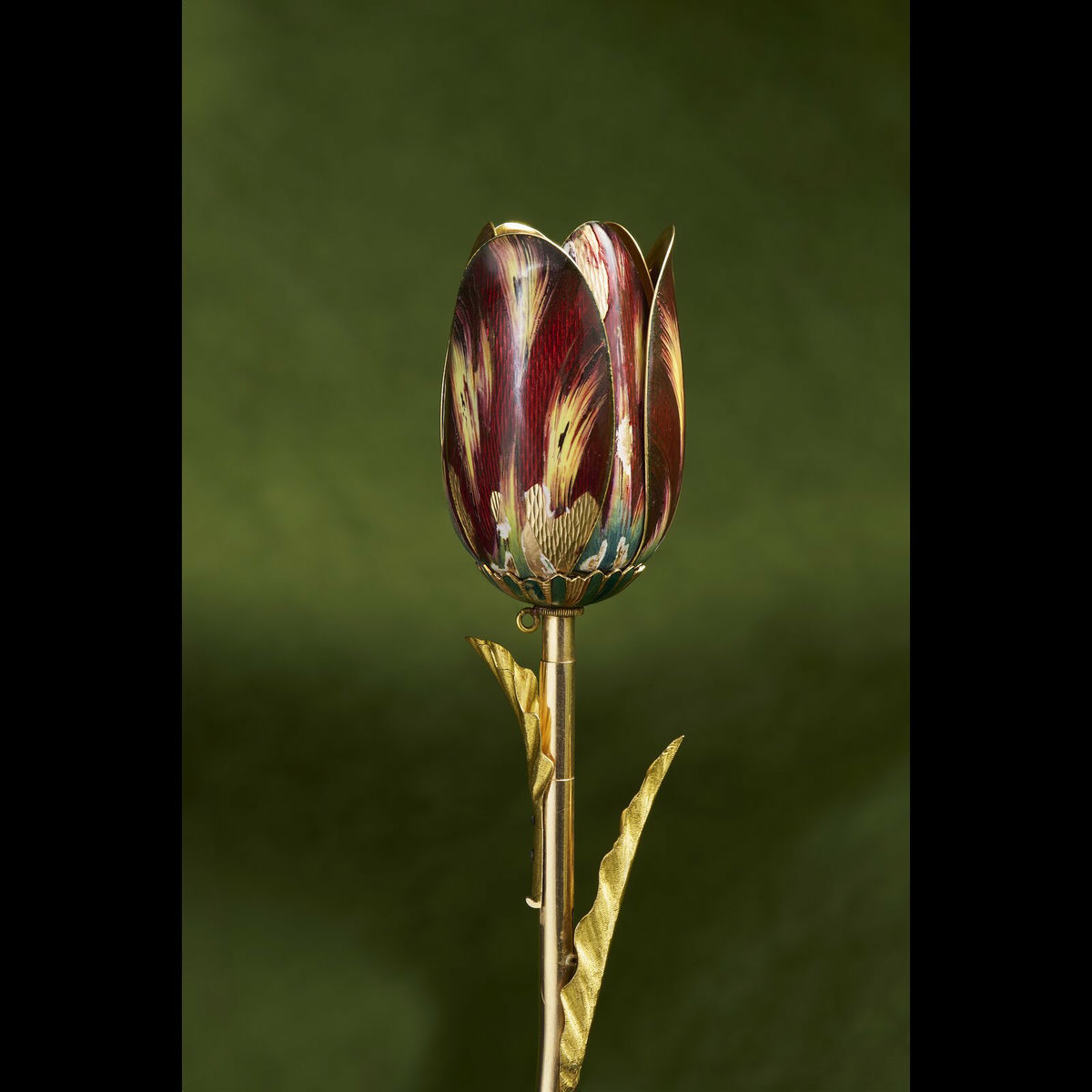 Album cover of Project Flower