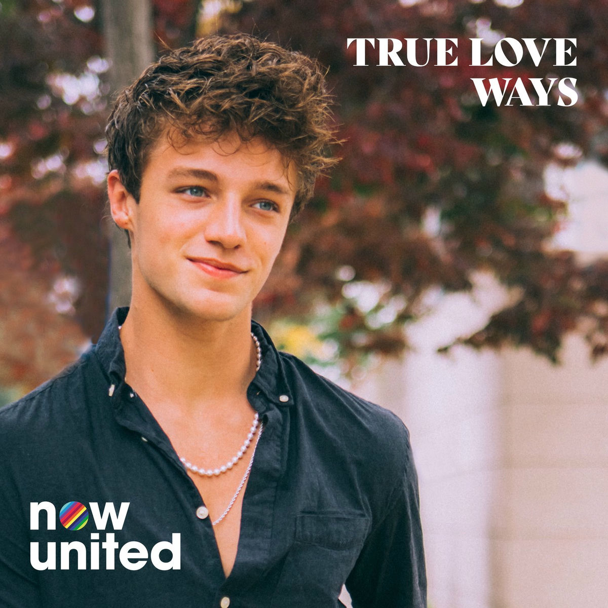 Album cover of True Love Ways