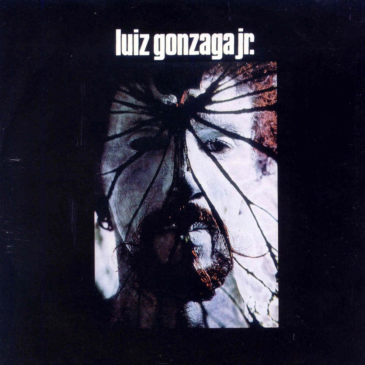 Album cover of Luiz Gonzaga Jr