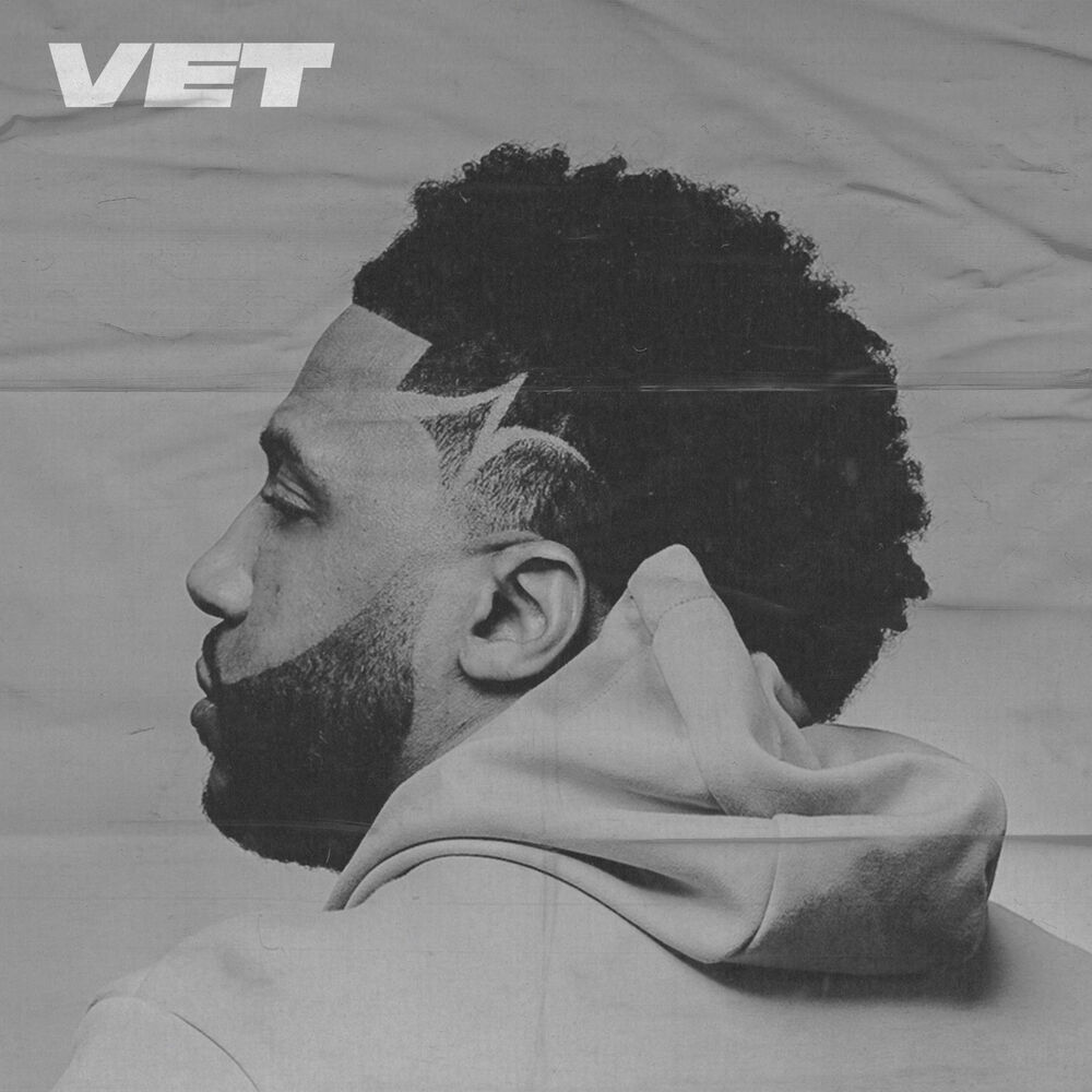 Picture of Vet